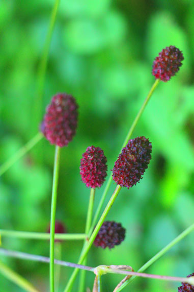 小菅トラウトガーデン 釣果