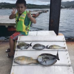本部釣りイカダ 釣果
