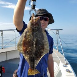 ブルーピア 釣果