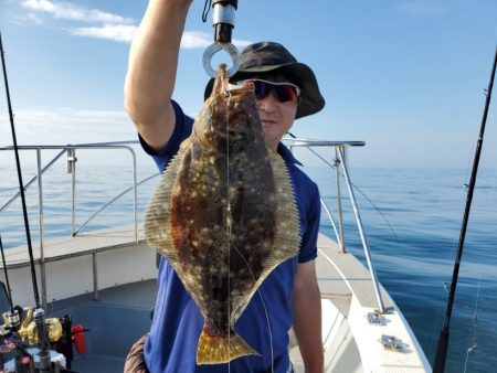 ブルーピア 釣果