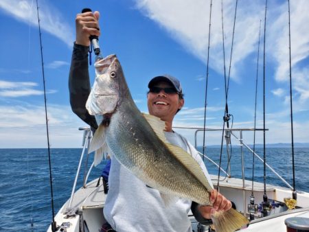 ブルーピア 釣果