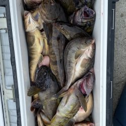 第八平成丸 釣果