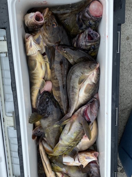 第八平成丸 釣果