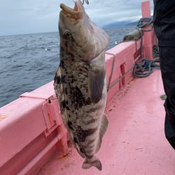 第八平成丸 釣果