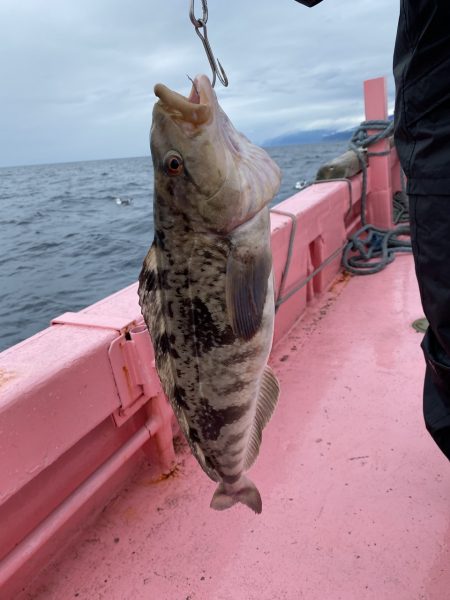 第八平成丸 釣果