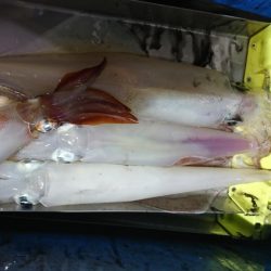 海龍丸(福岡) 釣果