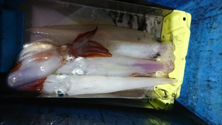 海龍丸(福岡) 釣果