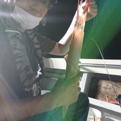 海龍丸(福岡) 釣果