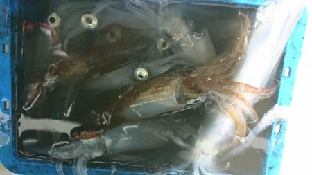 海龍丸(福岡) 釣果