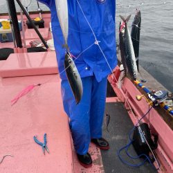 第八平成丸 釣果