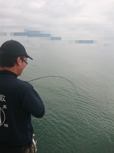 遊漁船 幸友丸 釣果