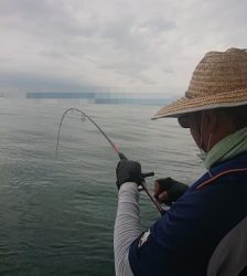 遊漁船 幸友丸 釣果