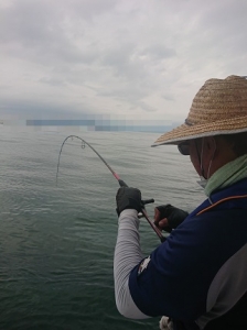 遊漁船 幸友丸 釣果