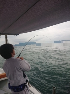 遊漁船 幸友丸 釣果