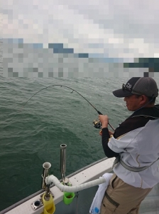 遊漁船 幸友丸 釣果