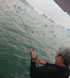 遊漁船 幸友丸 釣果