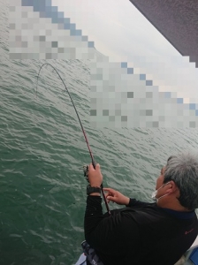 遊漁船 幸友丸 釣果