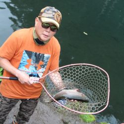 小菅トラウトガーデン 釣果