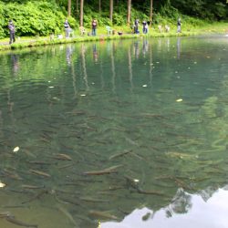 小菅トラウトガーデン 釣果