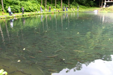 小菅トラウトガーデン 釣果