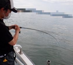 遊漁船 幸友丸 釣果