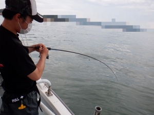 遊漁船 幸友丸 釣果