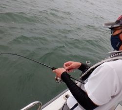 遊漁船 幸友丸 釣果