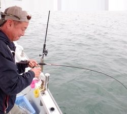 遊漁船 幸友丸 釣果