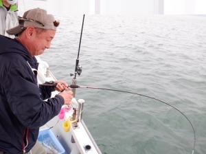 遊漁船 幸友丸 釣果