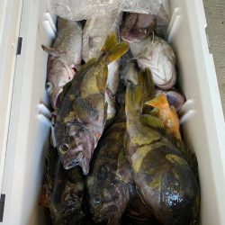 第八平成丸 釣果