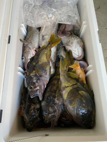 第八平成丸 釣果