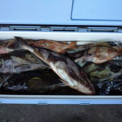 第八平成丸 釣果