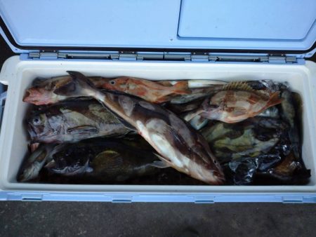 第八平成丸 釣果