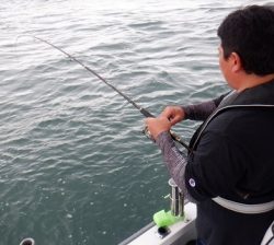 遊漁船 幸友丸 釣果