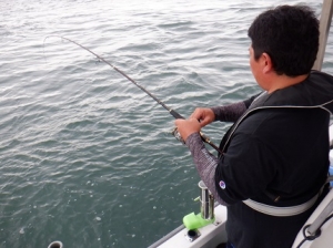 遊漁船 幸友丸 釣果