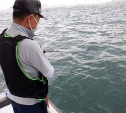 遊漁船 幸友丸 釣果