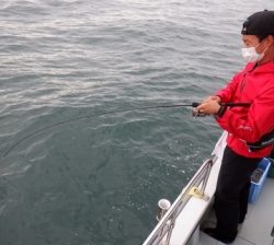 遊漁船 幸友丸 釣果