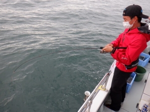 遊漁船 幸友丸 釣果