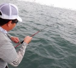 遊漁船 幸友丸 釣果