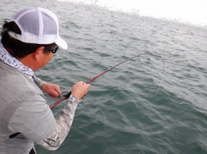 遊漁船 幸友丸 釣果