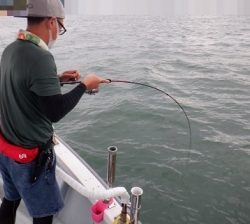 遊漁船 幸友丸 釣果