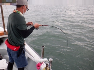 遊漁船 幸友丸 釣果