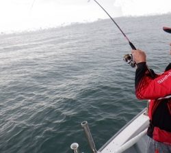 遊漁船 幸友丸 釣果