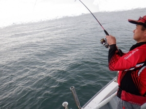 遊漁船 幸友丸 釣果