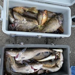 第八平成丸 釣果