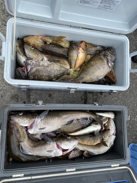 第八平成丸 釣果