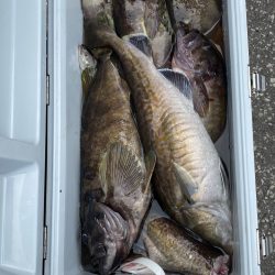 第八平成丸 釣果