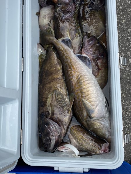 第八平成丸 釣果