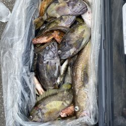 第八平成丸 釣果