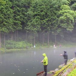 小菅トラウトガーデン 釣果